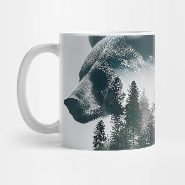 Bear Nature Outdoor Imagine Wild Free by Cubebox